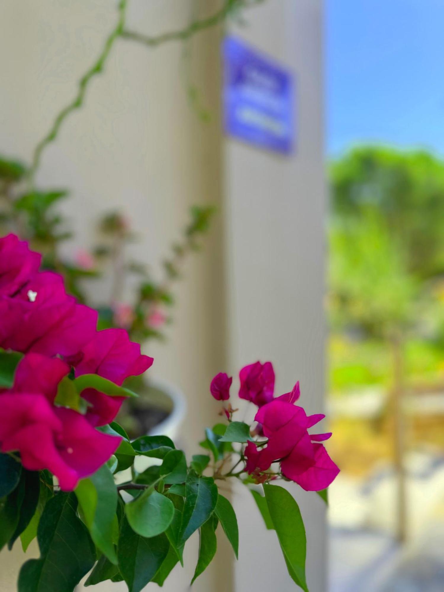 Sun Rise Hotel Apartments Eretria  Exterior photo